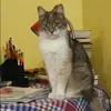 Отзыв от Людмила Богданова
